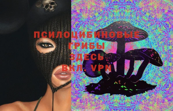 хмурый Абинск