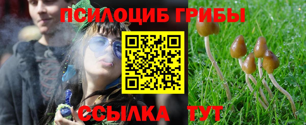 Галлюциногенные грибы мухоморы Азов